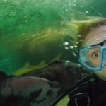 Hayden Panettiere Instagram - Just found one of my favorite pictures of me diving in Australia! While a picture was being taken, this shark nailed me right in the head and that is a genuine look of terror on my face! 😂