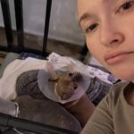Hayden Panettiere Instagram - My babies had surgery and ohhhhh boy they don’t like the cones 🥹