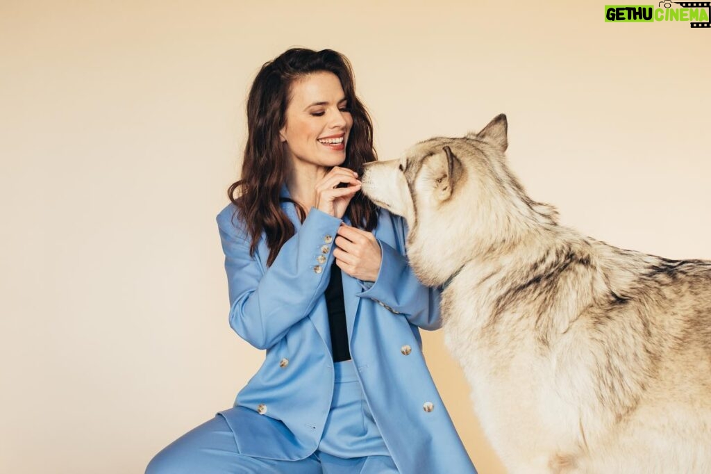 Hayley Atwell Instagram - Hayley // LA | A little bts moment between @wellhayley and @lunatheunicornwolf. Luna was a bit obsessed with the incredibly kind soul that is Hayley Atwell. Aren’t we all? 💙✨🐾