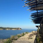 Hayley Atwell Instagram – A few days in the North of Ibiza, listening to screamadelica on repeat. Studying, writing, working on early stages of future projects… and jumping into the sea. @sixsenses.ibiza @thebeachcavesibiza