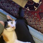 Hazar Ergüçlü Instagram - Aralık🫀