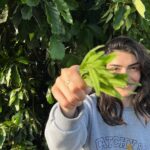 Hazar Ergüçlü Instagram - 🌿