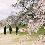 Hebe Tien Fu-chen Instagram - 🌸☘️⛰️🧘🏻 永遠都喜歡在生日時賞櫻， 今年櫻花晚開， 幾乎都在賞大量的樹枝和花苞， 雖然明白花開有時， 但期待落空時的情緒也很自然。 花開有時， 發片有時， 就讓一切自然而然。😝 （好啦～我會努力！💪🏻怎麼捨得辜負你們的期待呢！） 謝謝我的家人朋友和姐妹， 陪我把生活過成喜歡的樣子。 #晨起體驗永平寺早課覺得平靜幸福 #41歲的眼睛現在累到幾乎要掉出來 #壽星今日懷抱滿溢的祝福躺平去 #謝謝大家🤍