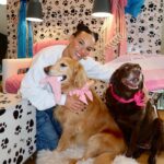 Heidi D'Amelio Instagram - I threw a puppy party! 🐾🎀🦴🩵🎉 Head over to my TikTok to see how I celebrated Rebel, Cali & Codi’s birthdays!