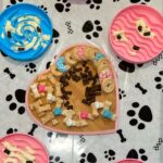 Heidi D'Amelio Instagram - I threw a puppy party! 🐾🎀🦴🩵🎉 Head over to my TikTok to see how I celebrated Rebel, Cali & Codi’s birthdays!