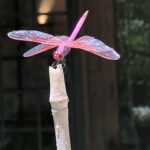 Helen Mirren Instagram - and just because it is there what about this pink dragonfly? and you don’t believe in fairies?
