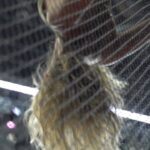 Helene Fischer Instagram - This💪 #HeleneFischer #LiveNation #Konzert #CirqueduSoleil #Live2023