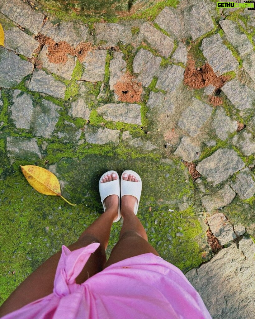 Heslaine Vieira Instagram - No último domingo de verão um dump da minha estação preferida 🌻☀️