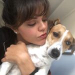 Hilal Altınbilek Instagram - Ayrılıyoruz😞yine ...#maximus ❤️🐶