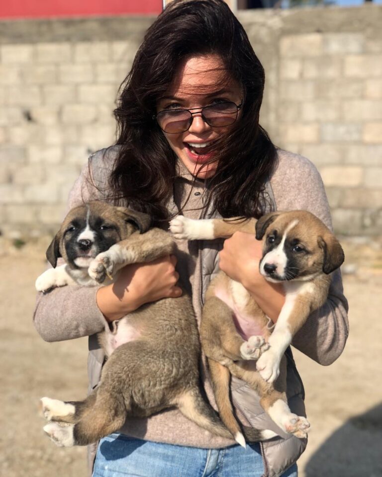 Hilal Altınbilek Instagram - Take a way please🙈🙈🙈🐶🐶🐶
