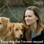 Hilary Swank Instagram - Did a fun piece on my charity, @hilaroo with @people 🥰🐶 #AdoptDontShop #WhoRescuedWho