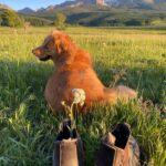 Hilary Swank Instagram - #SundayVibes ⛰🐶🥂
