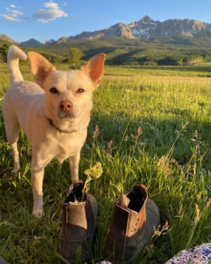Hilary Swank Instagram - #SundayVibes ⛰🐶🥂