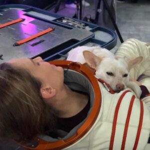 Hilary Swank Instagram - Whether it’s working, hanging out, playing or resting, this is my ♥️ dog, @mamamoon 
I’m so grateful to have found her on a 200 mile desolate highway in 28°, pregnant and to be able to help her. She is paying me back in spades and then some. You may remember I told you I was claustrophobic in my spacesuit and had to work really hard through it, she was a huge component of that. She just knew, she would struggle to get out of the person’s arms holding her once a take was complete and curl onto my chest and just simply be and breath with me. #WhoRescuedWho?
Thanks @deityanimalrescue for helping us find all her sweet babies homes. We 💜 you angel ladies! #AdoptDontShop #MyUnspokenPet 
#DogsOfInstagram 🐶 🐾 💫💝