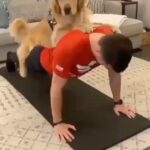 Hilary Swank Instagram - "The best workout partner!" #FitnessFriday brought to you by @golden.pawlover #WhatsYourMissionStatement?#MadeChoice #MakeItHappen #DogsOfInstagram #WhosYourWorkoutPartner?
