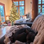 Holly Marie Combs Instagram - Not a creature was stirring…..Not even a Mouse. #merrychristmas 🎄