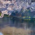 Holly Robinson Peete Instagram - Screaming #happybirthday to you @matthewjordansmith! So great to see you in Tokyo and soooo glad you got to catch the last of the Sakura Blooming in #Aomori!! SWIPE What a glorious day!! 🙏🏾🌸🌸🌸🌸🇯🇵🇯🇵🇯🇵🇯🇵🇯🇵 don’t forget to check out Matthew’s new book #ArethaCool!!