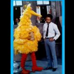 Holly Robinson Peete Instagram - Happy birthday, Big Bird! 🎂🎉🥳I had the unbelievable honor to have met you before the world did in 1969! Before all your head feathers came in! (SWIPE)😂😂 Rest In Peace, #CarrollSpinney 💚💛 #SesameStreet #GordonsDaughter #mattrobinson