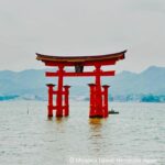 Holly Robinson Peete Instagram - It’s #GoldenWeek in Japan! 🇯🇵🗾 This is a national week of holiday-Everyone in Japan is off for a week! Naturally, I’m living vicariously through @58robbie who is living and studying in Tokyo right now. He visiting Hiroshima this week!! That’s on my bucket list for sure! How good does that teppanyaki stirfry look? Omg The food in Japan is next level good even the 7-Eleven spicy fried chicken is bangin!! #Oishii 🤤