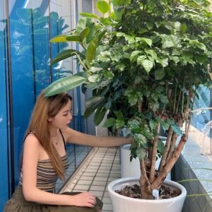 Hong Jin-young Instagram - 어디에도🌿