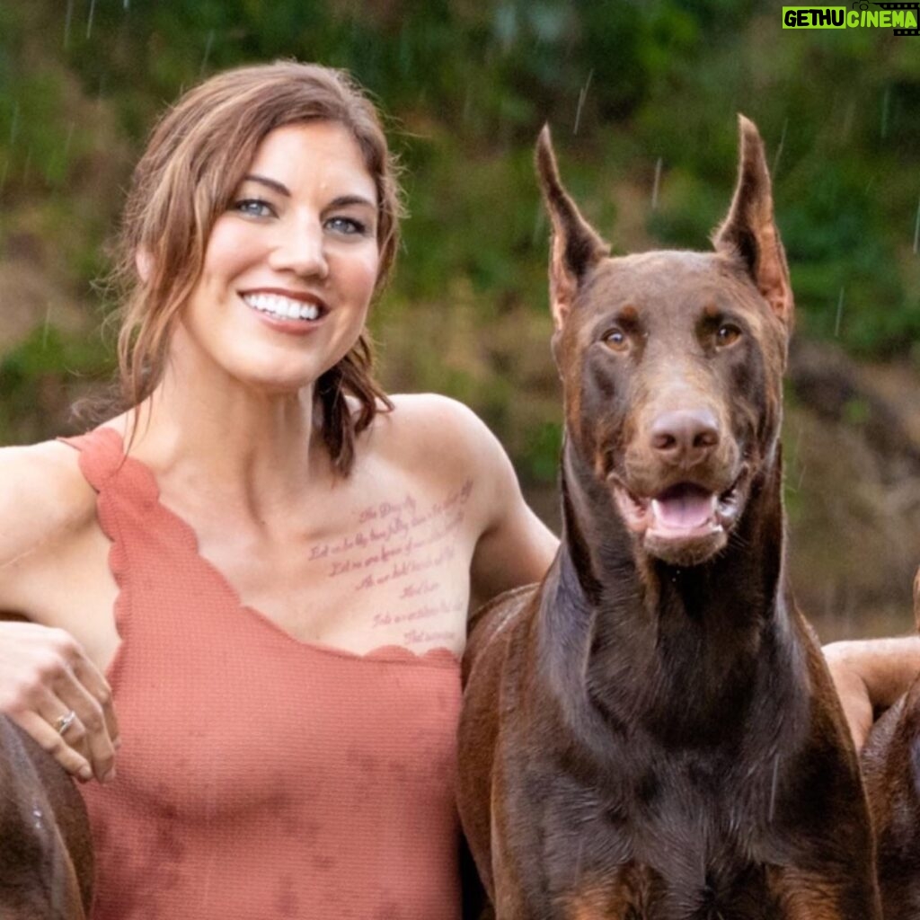 Hope Solo Instagram - ‪We‘re brokenhearted to share that Conan passed away from blood loss last night. He fought up until the very end.‬ We’re crushed. Just a dog running through the woods, trying to make his way home. We bought our 60-acres so our dogs have space to run and live their most full lives.‬ Conan was kind and loving. He wandered 30 yards off our property when he was shot. As animal lovers we are struggling to make sense of anyone using their right to own guns to shoot pets of any kind. We have had pets come onto our property and always helped them get home safe.‬