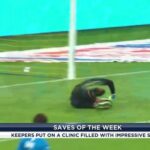 Hope Solo Instagram – Remember this choice for Save of the Week back from our debut @jstlouis16? Can’t wait to talk goals, saves and all things ⚽️ again

You can catch this weekend’s best save on #WeekendWinners! Back on @beinsportsusa tonight at 7 PM ET/ 4 PM PT