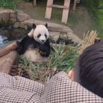 Hwang Jung-eum Instagram - 선물같은하루💗🐼