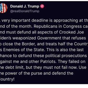 Ilhan Omar Instagram - Oh he is gonna be mad when he learns they didn’t shut shit down 🤣