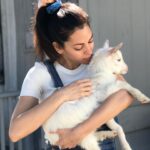 Inbar Lavi Instagram - This is coco. That is all.