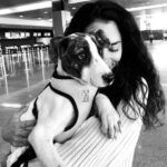 Inbar Lavi Instagram - @acredogs rescues homeless pups and places them in loving homes. This past trip we were lucky enough to help bring honey Lupita into her new family. Thank you for trusting us and for all the incredible work you do. SALUTE❤️🇲🇽🐾 #AdoptDontShop