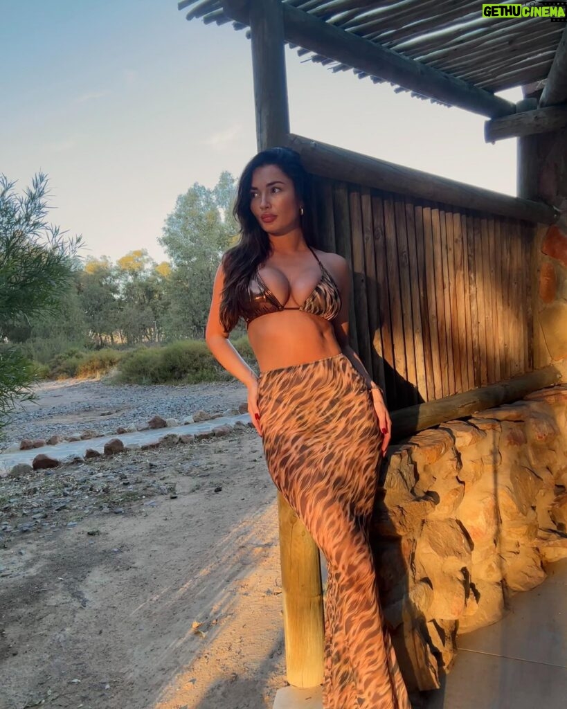 India Reynolds Instagram - Golden hour but make it safari @haloure___ 🌅