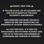 Indya Moore Instagram - URGENT: JOIN OUR COMRADES AT COLUMBIA FOR GAZA