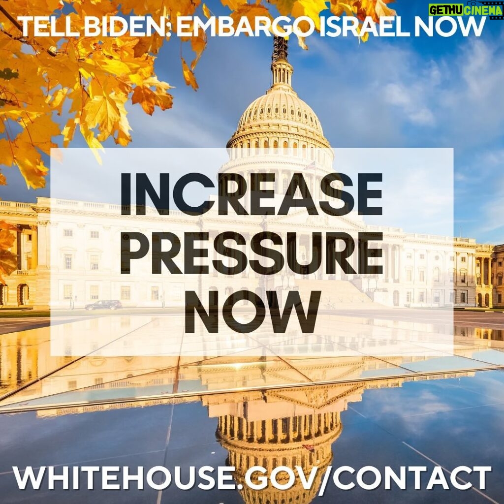 Indya Moore Instagram - URGENT ACTION! Stop & do this immediately. It takes 1 minute. NOW is the time to capitalize on this moment when Biden and Blinken are unhappy with Izzy (only took a few white aid workers getting killed). Message Biden right now to tell him #embargoisrael. When you’re done, let us know in the comments below with 5 WORDS or more. Whitehouse.gov/contact There’s no need to write more. If you want to write more, you could write: I do not support a temporary ceasefire in G@za. I demand an immediate arms embargo on Izzy and a permanent ceasefire. #embargoisrael #instagood #explore #explorepage #fyp #photo #video #instagram #twitter #x #elon #twittertakeover #spring #fashion #shoes #clothes #nails #nailsofinstagram #babiesofinstagram #foodporn #foodies #foodiesofinstagram