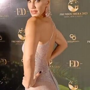 Ingrid Grudke Instagram - Anoche tuve el placer de disfrutar de la primera edición de los @premios_ibera un evento que celebra el trabajo de todas las personas que se distinguen en el arte, moda y diseño de toda la región del NEA.  Para acompañar esta gala vestí un fabuloso vestido de @sanovaroly  #corrientes @corrientes.modaydiseno #premios