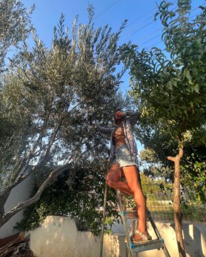 Ipek Karapinar Instagram - Nasıl bir neşe,nasıll bir coşku🫒
İlk hasatımı yapmanın büyülü hisleri…
Biraz top çevirme…
Kırma işlemi yarın,şimdi sudalar🍸ayhh 🥰
#zeytinağacım 

Her aşamada emeği geçen sevgili arkadaşlarım @dicle_toroglu ve @burakbibercii 
Zeytin gibi aziz olun☺️