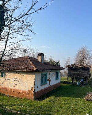 Ipek Karapinar Instagram - Bir Derbent varmış;” benden dışarı çıkma”diye diye,bir yokmuş;içerde keşfettiklerimle🧞‍♀️