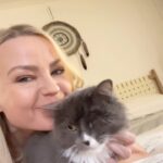 Irina Voronina Instagram - They are always right 😹 #catlady #catsofinstagram