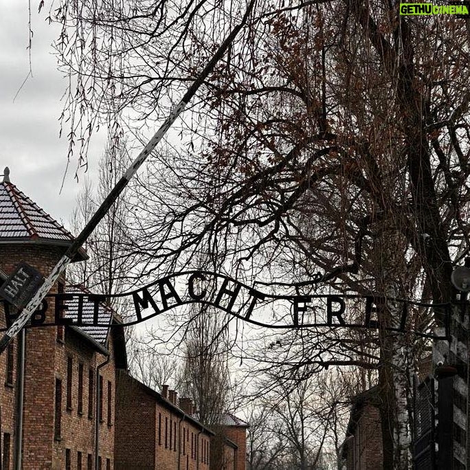 Isabel Díaz Ayuso Instagram - Más de 1.100.000 personas murieron en Auschwitz. Su “delito” era ser homosexuales, gitanos, tener alguna discapacidad, ser prisioneros políticos… El 90%, judíos. No hace tanto ni tan lejos se cometieron los más graves delitos contra la humanidad. No olvidar para no repetir.