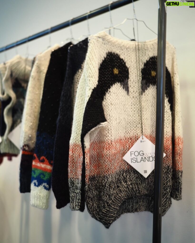 Isabella Rossellini Instagram - At the @scandinavian.house in NY we presented wool the Faroe Island. The most interesting aspect is that the wool is from sheep only found in these island . Tough sheep if a merino sheep goes to this island it will survive one week. The Faroe island sheep are double coated ( see photo the white is one of our sheep the gray long hair one of these rare animals) . The local women knit it the most skillful way … traditional and total new knits. I was enchanted by their work and this history @shisabrand @steinumknitwear @durita_thomsen @einstakt_official @naviafaroeislands @reka.official_