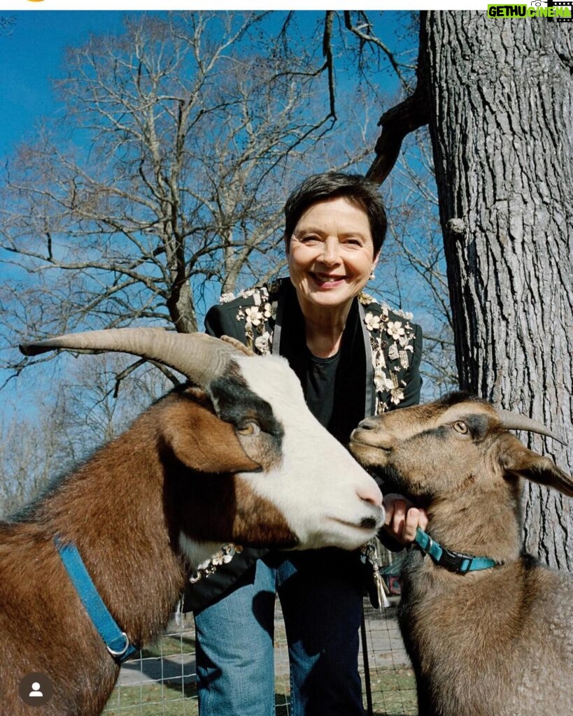 Isabella Rossellini Instagram - @vmagazine wrote an article about me and @mamafarm . In the photo I am with two of my Spanish cashmere goats @livestockconservancy . Photo by @hellmannsam
