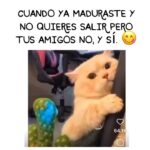 Isabella Santodomingo Instagram - Selección de Jueves. Ya casi… 😋 •• #Isagram