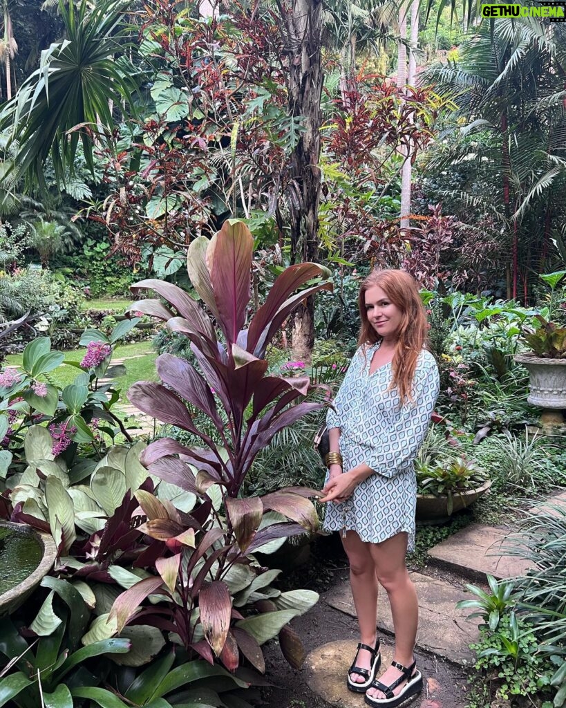 Isla Fisher Instagram - I never want to leaf here