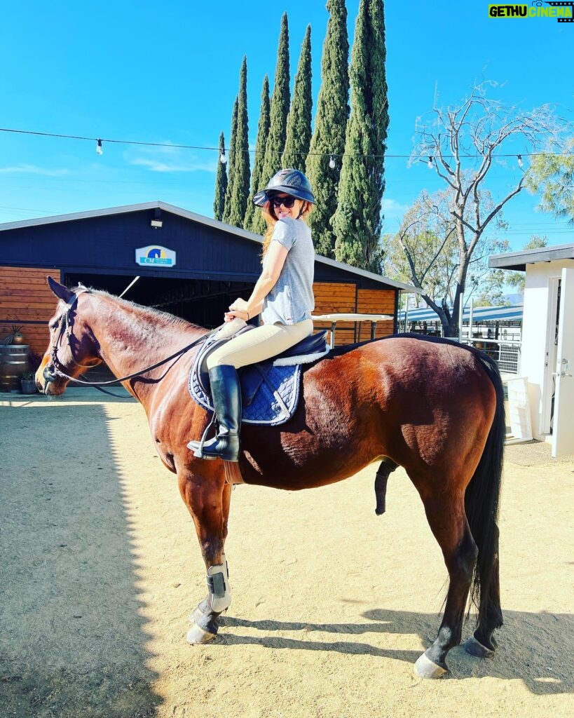 Isla Fisher Instagram - George had a great time being ridden by me on my birthday 🥳