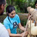 Iti Acharya Instagram - Today is a really special day , it’s the third year rescue anniversary for “Millie” a sloth bear rescued by @wildlifesos from Dancing Bear trade It was my privilege to volunteer with their wonderful and enthusiastic team to make this day a little more special and get an insight of the lives of these innocent animals, dangers they face and about this wonderful organisation who has been working triumphantly over so many years to put an end to the ill practises of wildlife trade and also support and empower the families involved to assist them in making better choices of earning and livelihood. I am super excited to share my experience here and would request each of you , if you find slightest of love for wildlife in your heart Kindly act upon it right away. You can volunteer with them , or make donations in funds or kind by donating fruits. These bears love Fruits, honey and peanut butter BTW 😇 @wildlifesos Know more www.wildlifesos.org Show some love https://pmny.in/1IVJONFpASSF #wildlifesos #banerghattabearrescuecentre #savibgbears #wildlifeconservation #wildlifeplanet #wildlifeindia