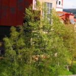 Itziar Ituño Instagram - Ikusi geugaz Basauriren zati hau Nerbioi behera goazen bitartean. Kasu hontan ni gonbidatu Esfortsu handiz ,gure eskualdeko ibaiak ardatz , paisaez eta bertoko jendez berba egitera datorkigun produktora xume honek euren ibilbidearen parte izatera gonbidatu nau.ohore handiz onartu dot gonbitea, gure lurraz berba egiten dauen orok bidaide izango nauelako haren ondoan ibilten! Zorte on, lagunok! Eta ia zuen ibai ertzeetako bidaiak itsaso zabalean amaitzea lortzen dauen. Ez galdu sekula gogo eta indarrak! Gora BasaurI-ko ikusentzunezkoa✊️!