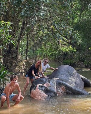 Ivana Sert Instagram - The Sri Lankan subspecies is the largest and also the darkest of the Asian elephants, with patches of depigmentation—areas with no skin color—on its ears, face, trunk and belly. Once found throughout the tear-shaped island at the bottom of India’s southern tip, these elephants are now being pushed into smaller areas as development activities clear forests and disrupt their ancient migratory routes.

The herd size in Sri Lanka ranges from 12-20 individuals or more. It is led by the oldest female, or matriarch. In Sri Lanka, herds have been reported to contain nursing units, consisting of lactating females and their young, and juvenile care units, containing females with juveniles. The Sri Lankan elephant population has fallen almost 65% since the turn of the 19th century. Today, the Sri Lanka elephant is protected under the Sri Lankan law and killing one carries the death penalty. ♥️🐘♥️