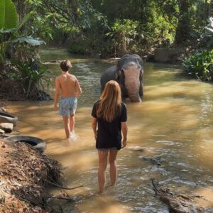 Ivana Sert Instagram - The Sri Lankan subspecies is the largest and also the darkest of the Asian elephants, with patches of depigmentation—areas with no skin color—on its ears, face, trunk and belly. Once found throughout the tear-shaped island at the bottom of India’s southern tip, these elephants are now being pushed into smaller areas as development activities clear forests and disrupt their ancient migratory routes.

The herd size in Sri Lanka ranges from 12-20 individuals or more. It is led by the oldest female, or matriarch. In Sri Lanka, herds have been reported to contain nursing units, consisting of lactating females and their young, and juvenile care units, containing females with juveniles. The Sri Lankan elephant population has fallen almost 65% since the turn of the 19th century. Today, the Sri Lanka elephant is protected under the Sri Lankan law and killing one carries the death penalty. ♥️🐘♥️