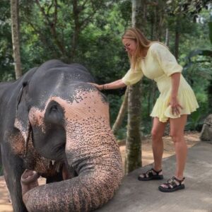Ivana Sert Instagram - The Sri Lankan subspecies is the largest and also the darkest of the Asian elephants, with patches of depigmentation—areas with no skin color—on its ears, face, trunk and belly. Once found throughout the tear-shaped island at the bottom of India’s southern tip, these elephants are now being pushed into smaller areas as development activities clear forests and disrupt their ancient migratory routes.

The herd size in Sri Lanka ranges from 12-20 individuals or more. It is led by the oldest female, or matriarch. In Sri Lanka, herds have been reported to contain nursing units, consisting of lactating females and their young, and juvenile care units, containing females with juveniles. The Sri Lankan elephant population has fallen almost 65% since the turn of the 19th century. Today, the Sri Lanka elephant is protected under the Sri Lankan law and killing one carries the death penalty. ♥️🐘♥️