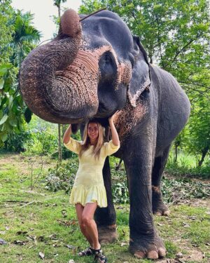 Ivana Sert Instagram - The Sri Lankan subspecies is the largest and also the darkest of the Asian elephants, with patches of depigmentation—areas with no skin color—on its ears, face, trunk and belly. Once found throughout the tear-shaped island at the bottom of India’s southern tip, these elephants are now being pushed into smaller areas as development activities clear forests and disrupt their ancient migratory routes.

The herd size in Sri Lanka ranges from 12-20 individuals or more. It is led by the oldest female, or matriarch. In Sri Lanka, herds have been reported to contain nursing units, consisting of lactating females and their young, and juvenile care units, containing females with juveniles. The Sri Lankan elephant population has fallen almost 65% since the turn of the 19th century. Today, the Sri Lanka elephant is protected under the Sri Lankan law and killing one carries the death penalty. ♥️🐘♥️