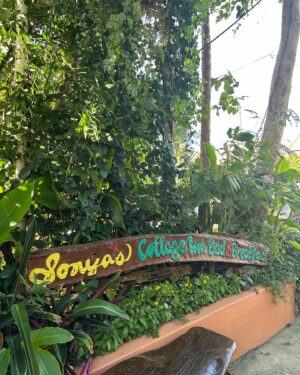 Iza Calzado Instagram - Several years ago, Ben proposed to me in this lovely place in front of friends and family. Now, as our family grows, we get to explore and experience @sonyasgarden through the lens of our darling Deia. Grateful to Tita Sonya and everyone there for nourishing us. We feel so blessed by your love. 🌺🐝🥗🌼💖